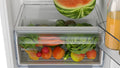 Bosch Series 2 KIR41NSE0G - White Integrated Larder Auto Defrost Fridge - F energy