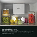 AEG NSK6D181EC - White Built-In Larder Fridge - 310L - E Energy Rating