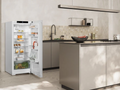 Liebherr RD4600 - White Freestanding Larder Fridge - 298L Capacity - D Energy Rating