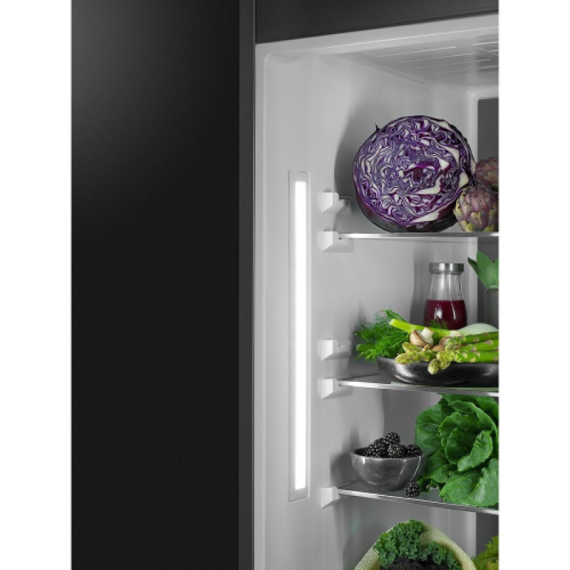 AEG SKS818E9ZC - Integrated Auto Defrost Fridge - E energy