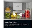 AEG NSK7D181EC - White Built-In Larder Fridge - 310 Litres - E Energy Rating