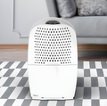 Ebac 4850 DJ421WH-GB Dehumidifier with smart control