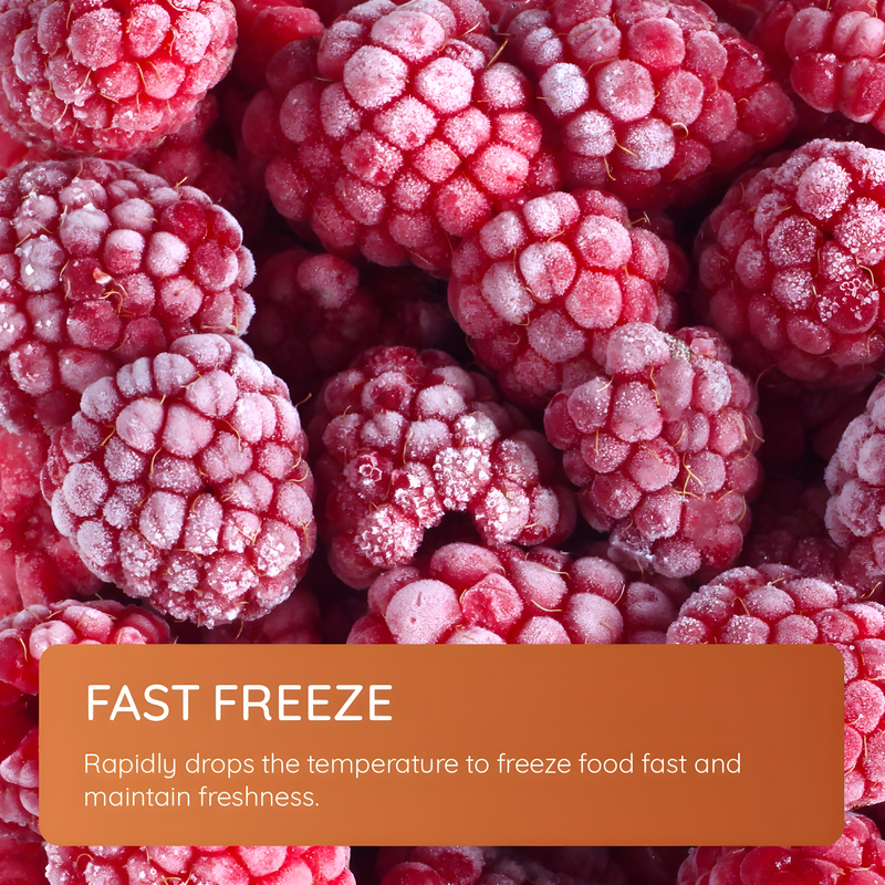 Hotpoint HTSD18F013H1 - White Built-In Freezer - 241L Capacity - E Energy Rating